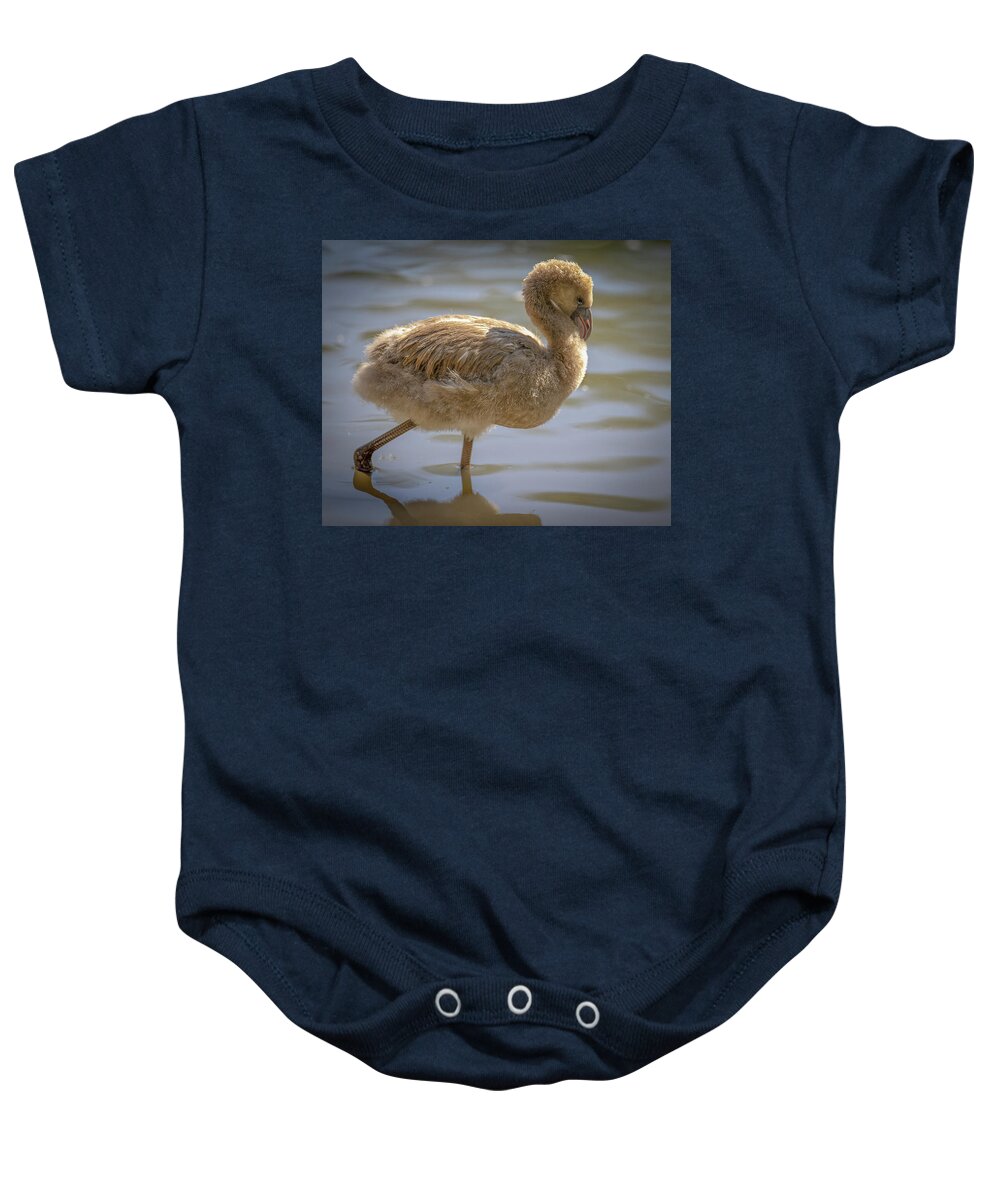 Baby Flamingo - Baby Onesie