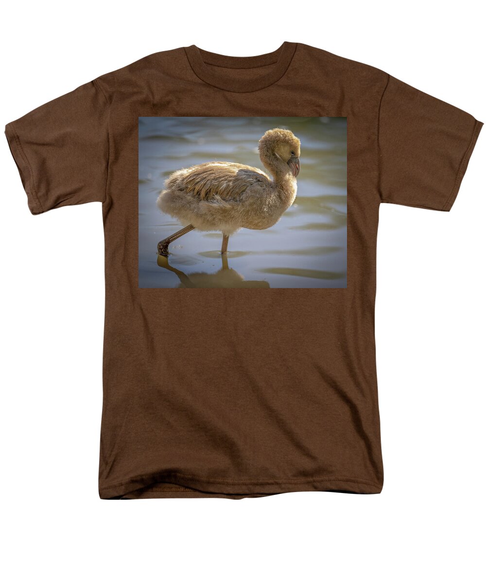 Baby Flamingo - Men's T-Shirt  (Regular Fit)