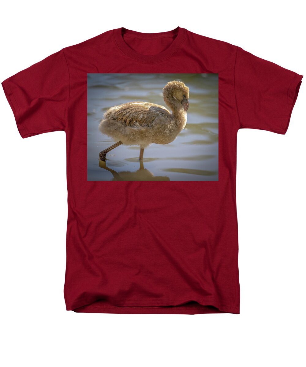Baby Flamingo - Men's T-Shirt  (Regular Fit)