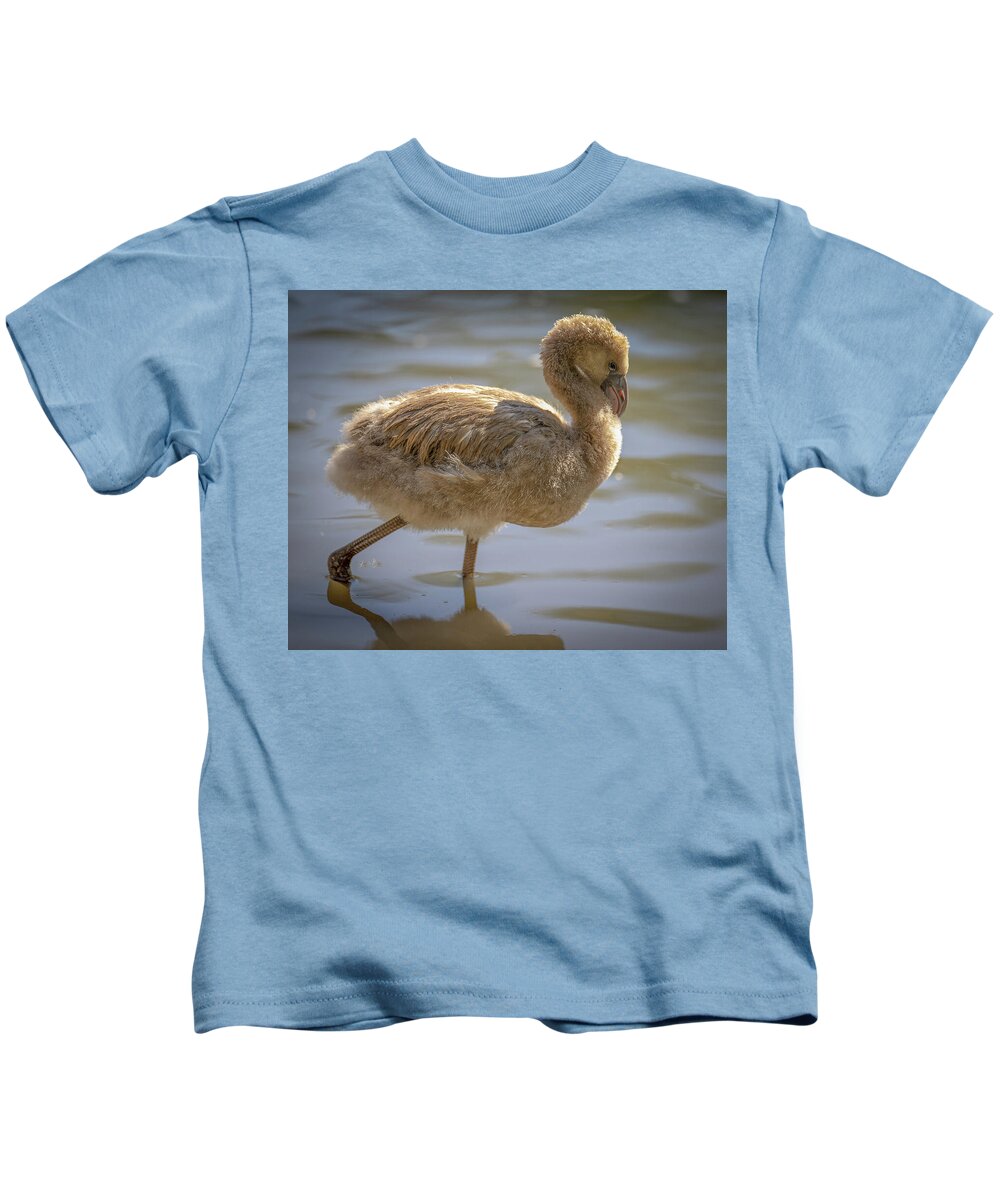 Baby Flamingo - Kids T-Shirt