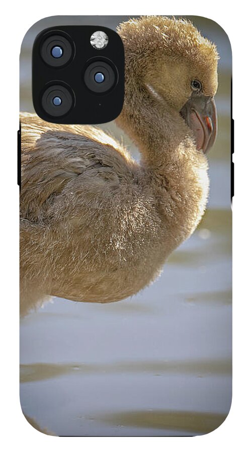 Baby Flamingo - Phone Case