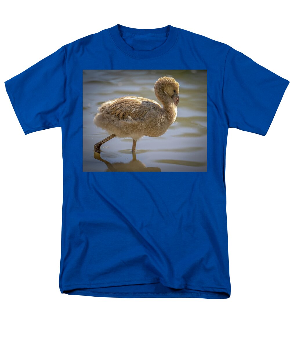 Baby Flamingo - Men's T-Shirt  (Regular Fit)