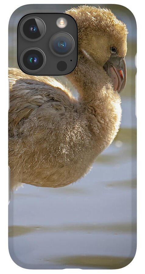 Baby Flamingo - Phone Case