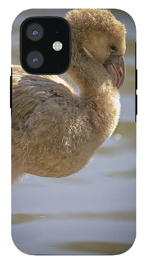 Baby Flamingo - Phone Case