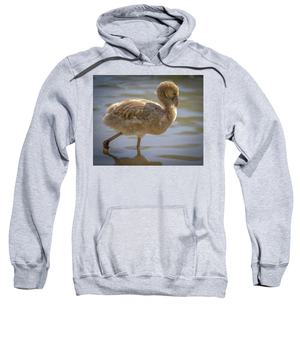 Baby Flamingo - Sweatshirt