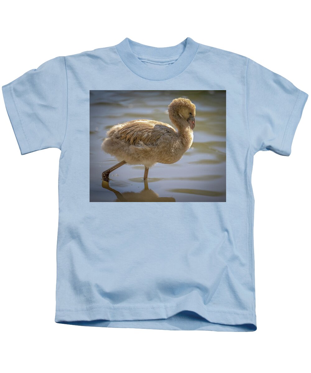 Baby Flamingo - Kids T-Shirt