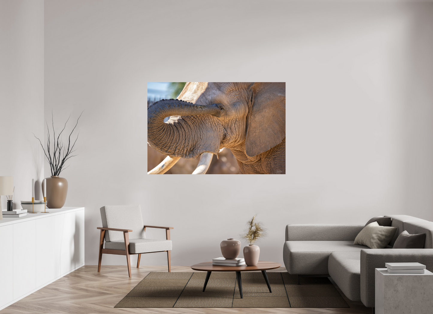 66 x 44″, Photo Print Under Acrylic Glass Bashful Ellie The Elephant