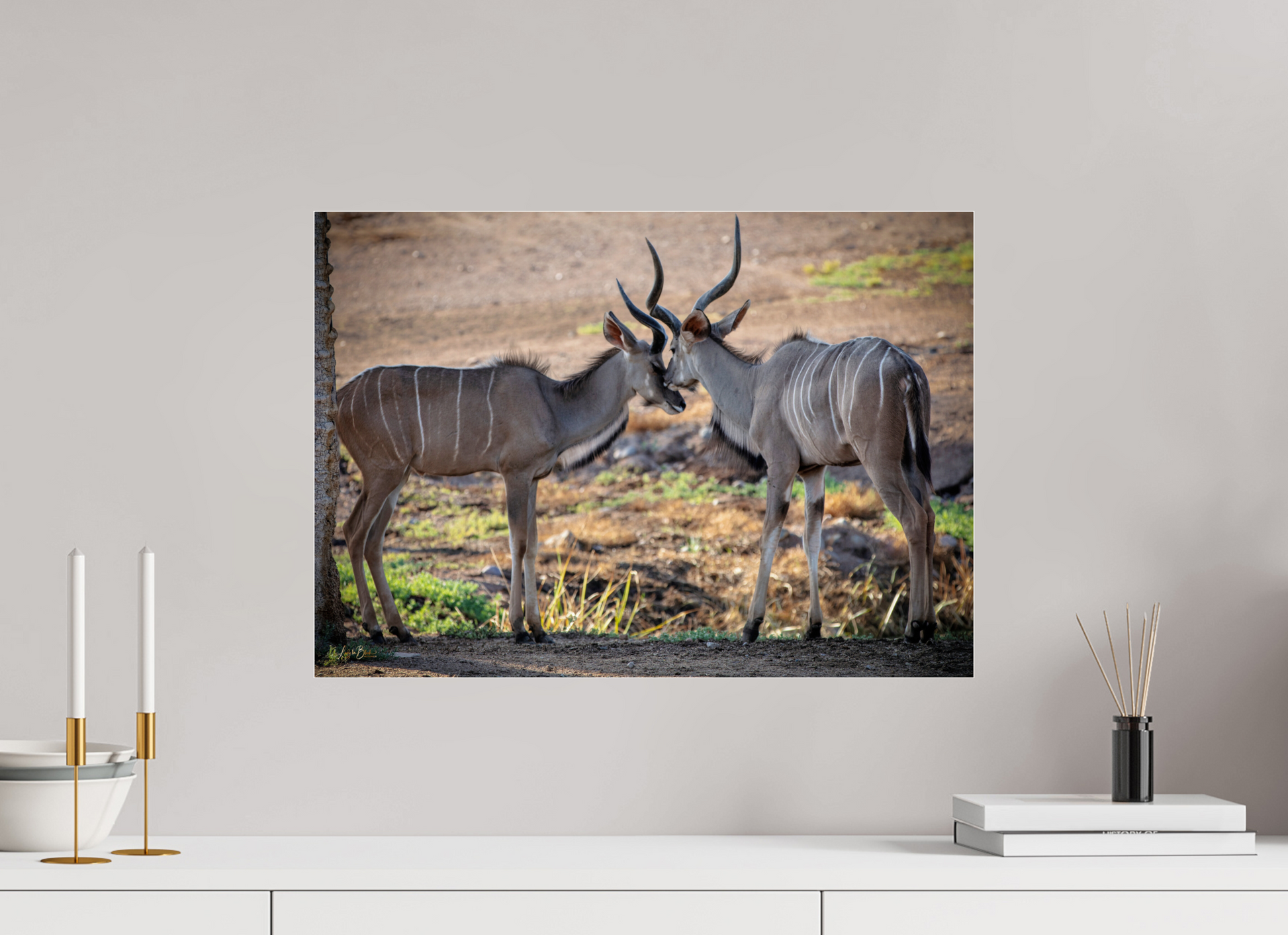 22.6 x 16″, Photo Print Under Acrylic Glass Love You, Too