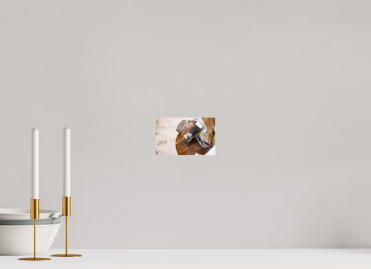 6.4 x 4″, Photo Print Under Acrylic Glass Goat Cheeeese