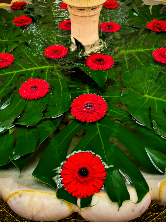 Main image Applauding Waterfall of The Flowering Tutu