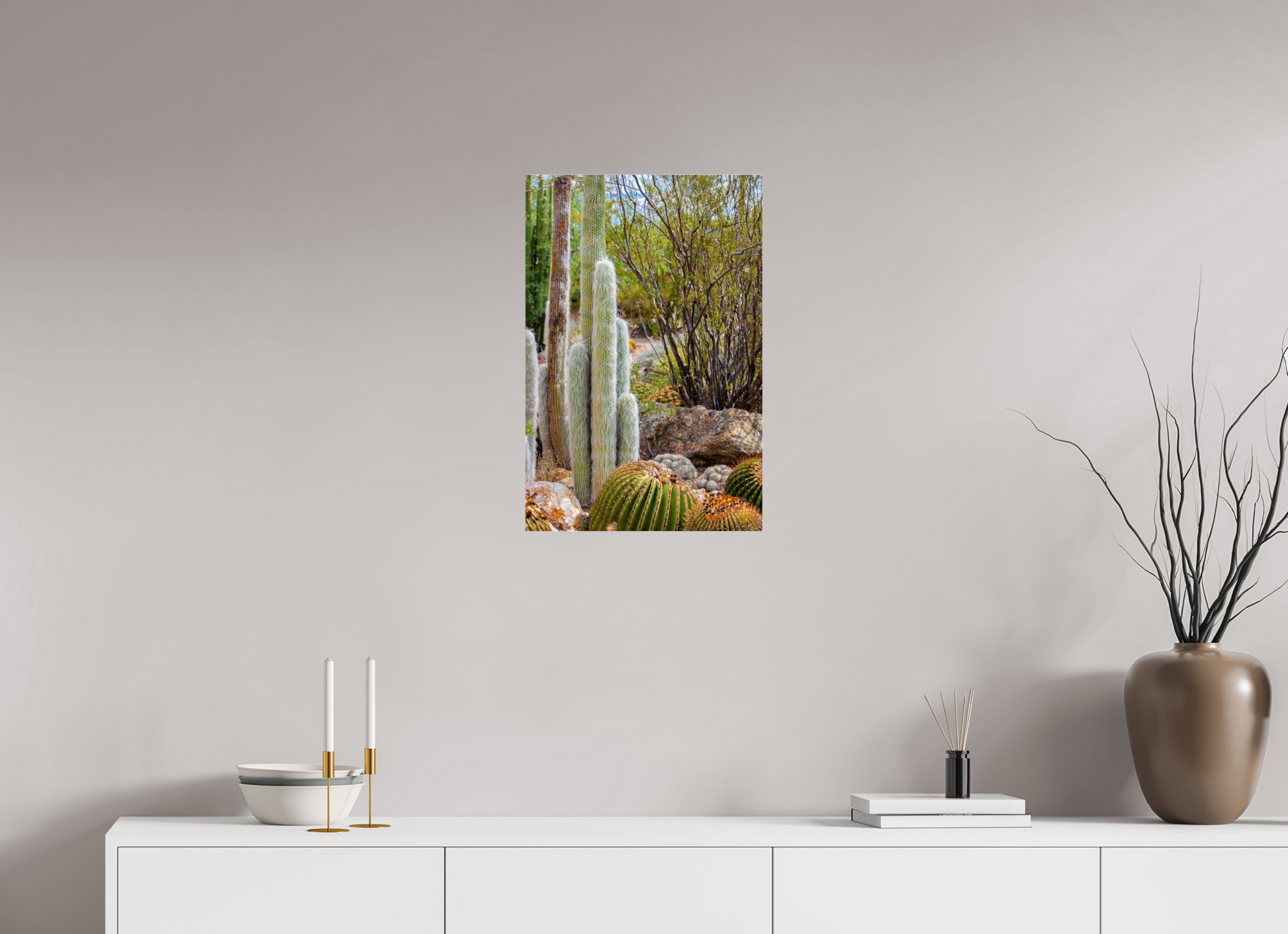 16 x 24″, Photo Print Under Acrylic Glass Cacti III