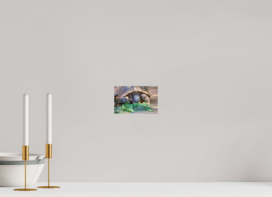 6.4 x 4″, Photo Print Under Acrylic Glass Eat Your Vegetables