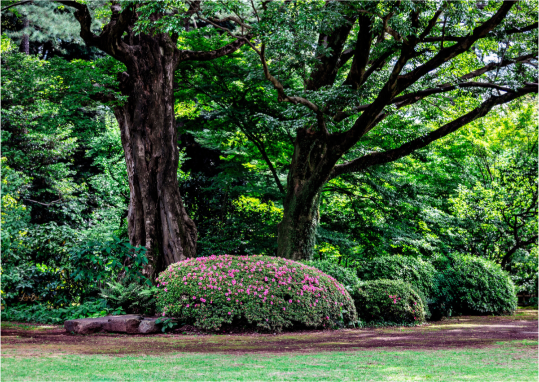 Main image Gardens of Tokyo