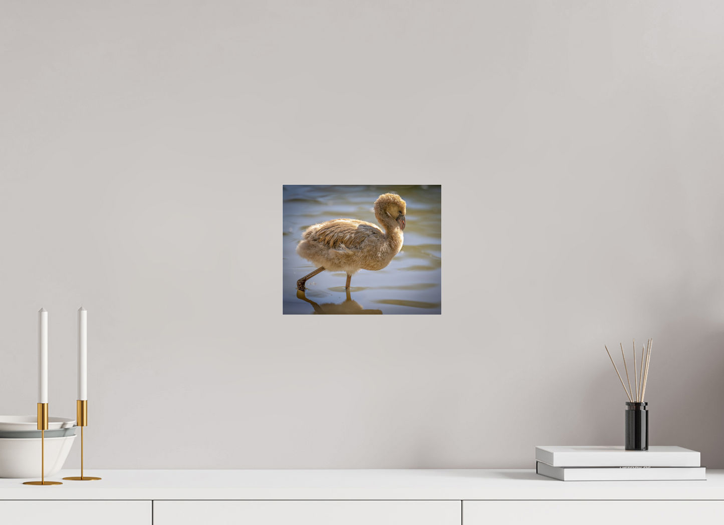 9.8 x 8″, Photo Print Under Acrylic Glass Baby Flamingo