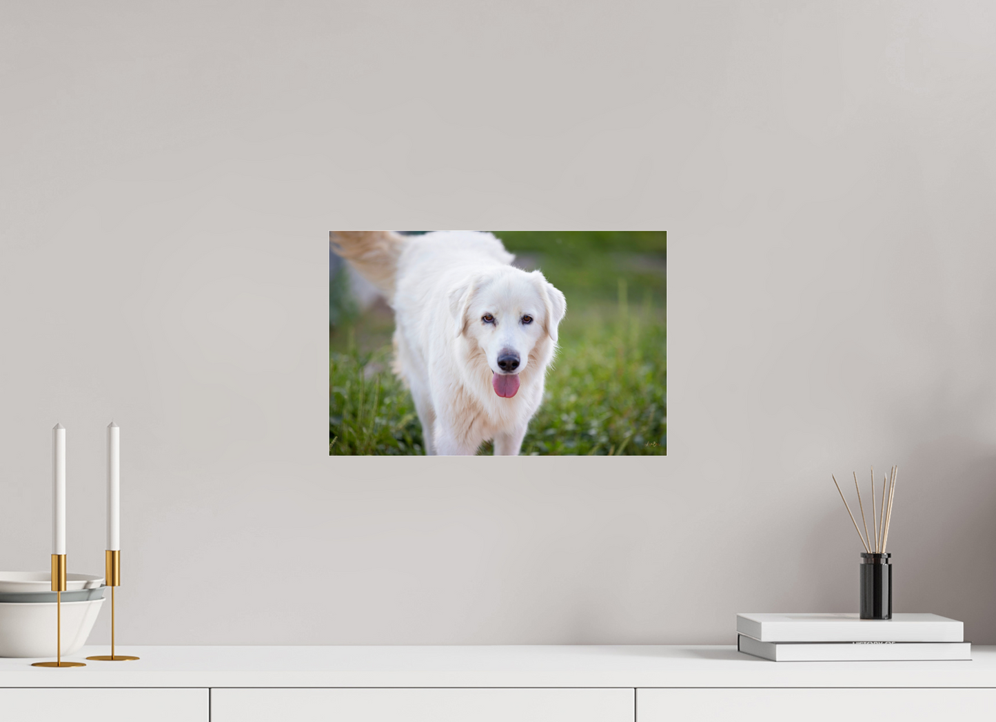 15 x 10″, Photo Print Under Acrylic Glass Sophie