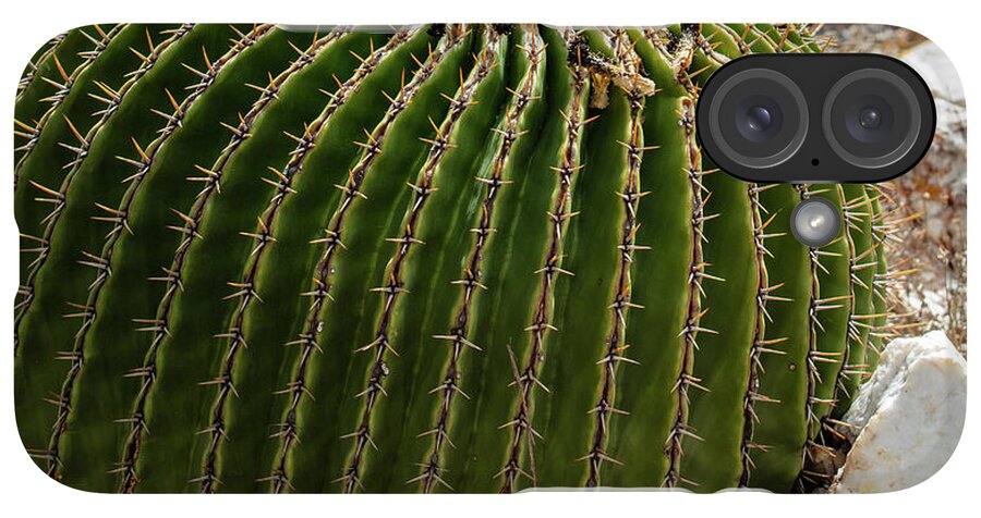 Cacti Closeup - Phone Case
