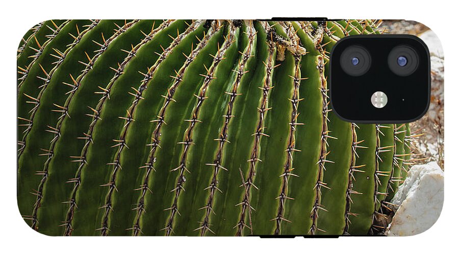 Cacti Closeup - Phone Case