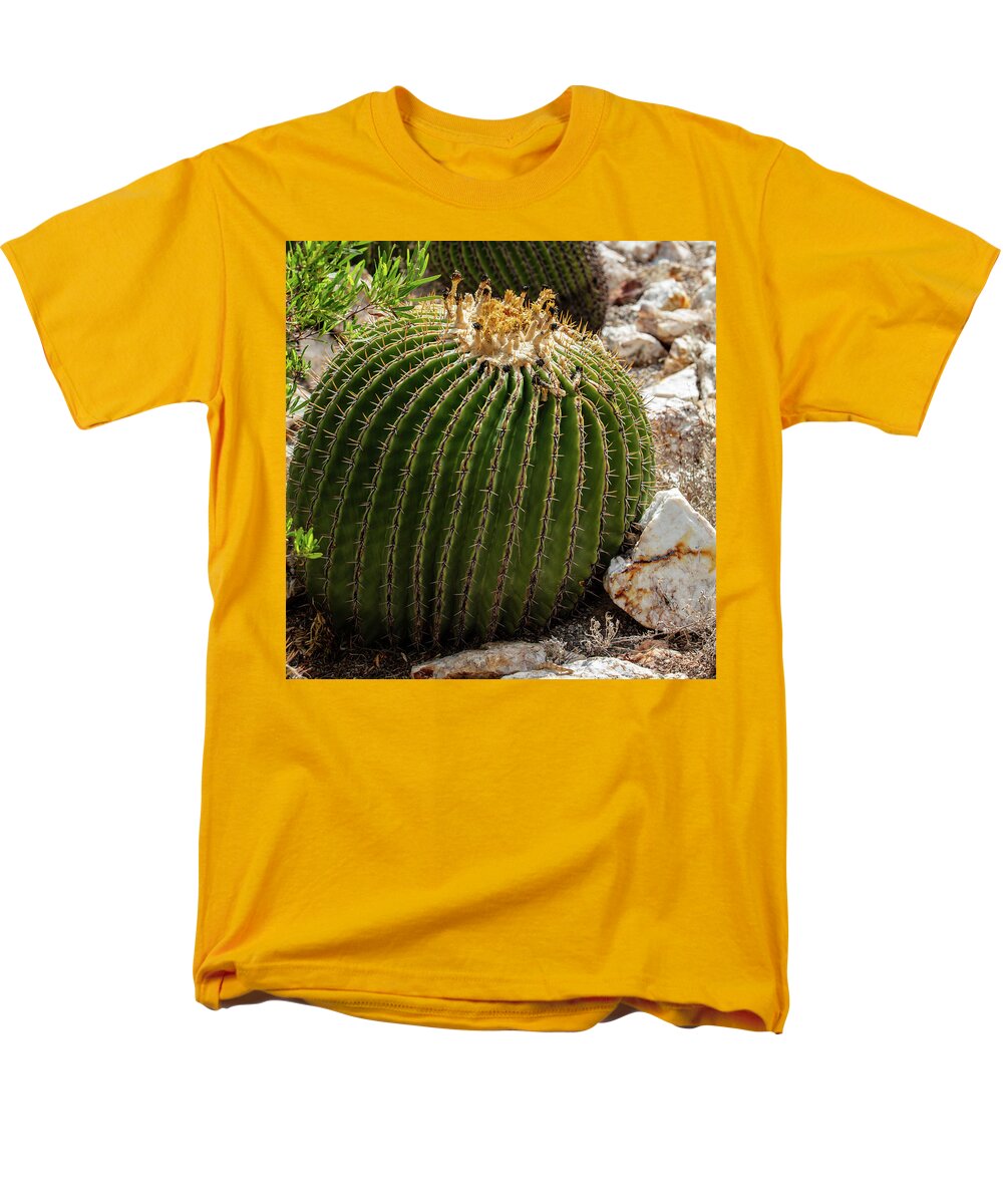 Cacti Closeup - Men's T-Shirt  (Regular Fit)