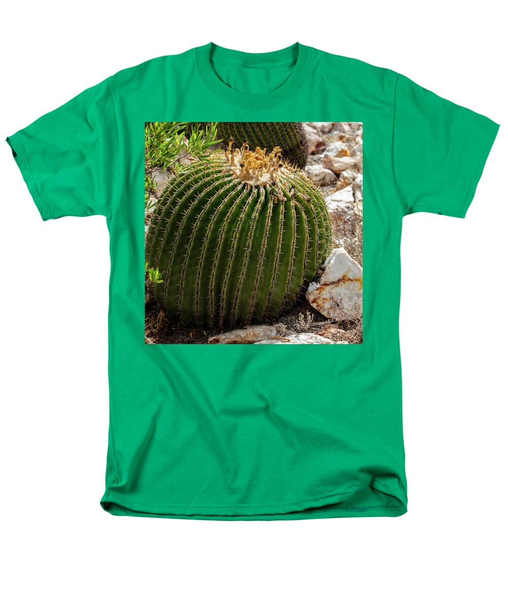 Cacti Closeup - Men's T-Shirt  (Regular Fit)