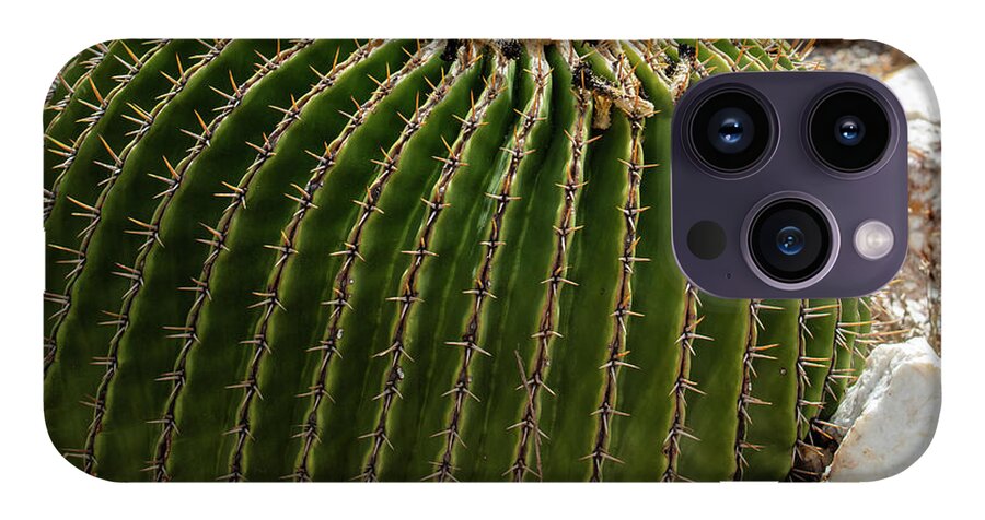 Cacti Closeup - Phone Case