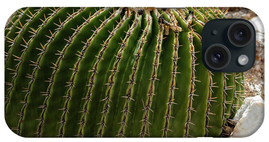 Cacti Closeup - Phone Case