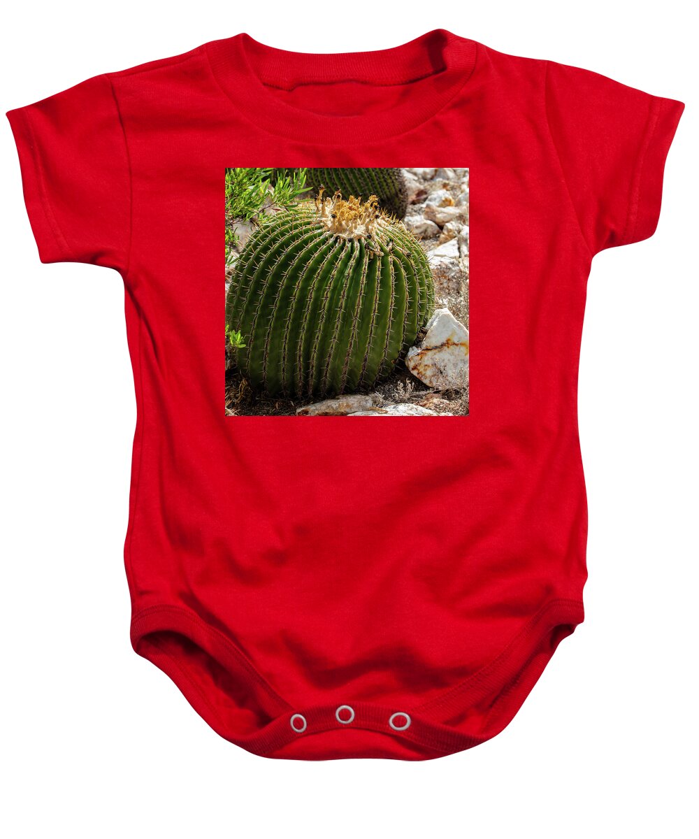 Cacti Closeup - Baby Onesie