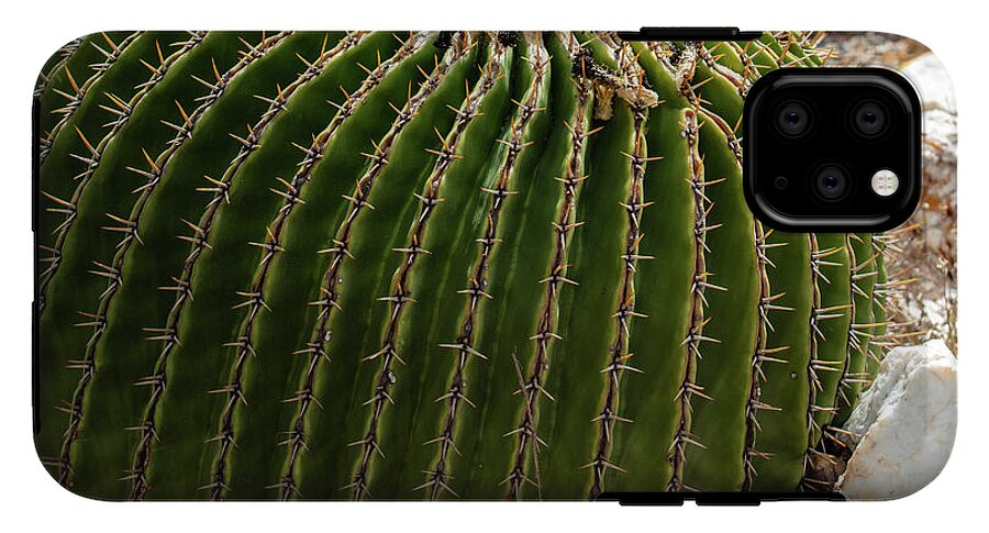 Cacti Closeup - Phone Case