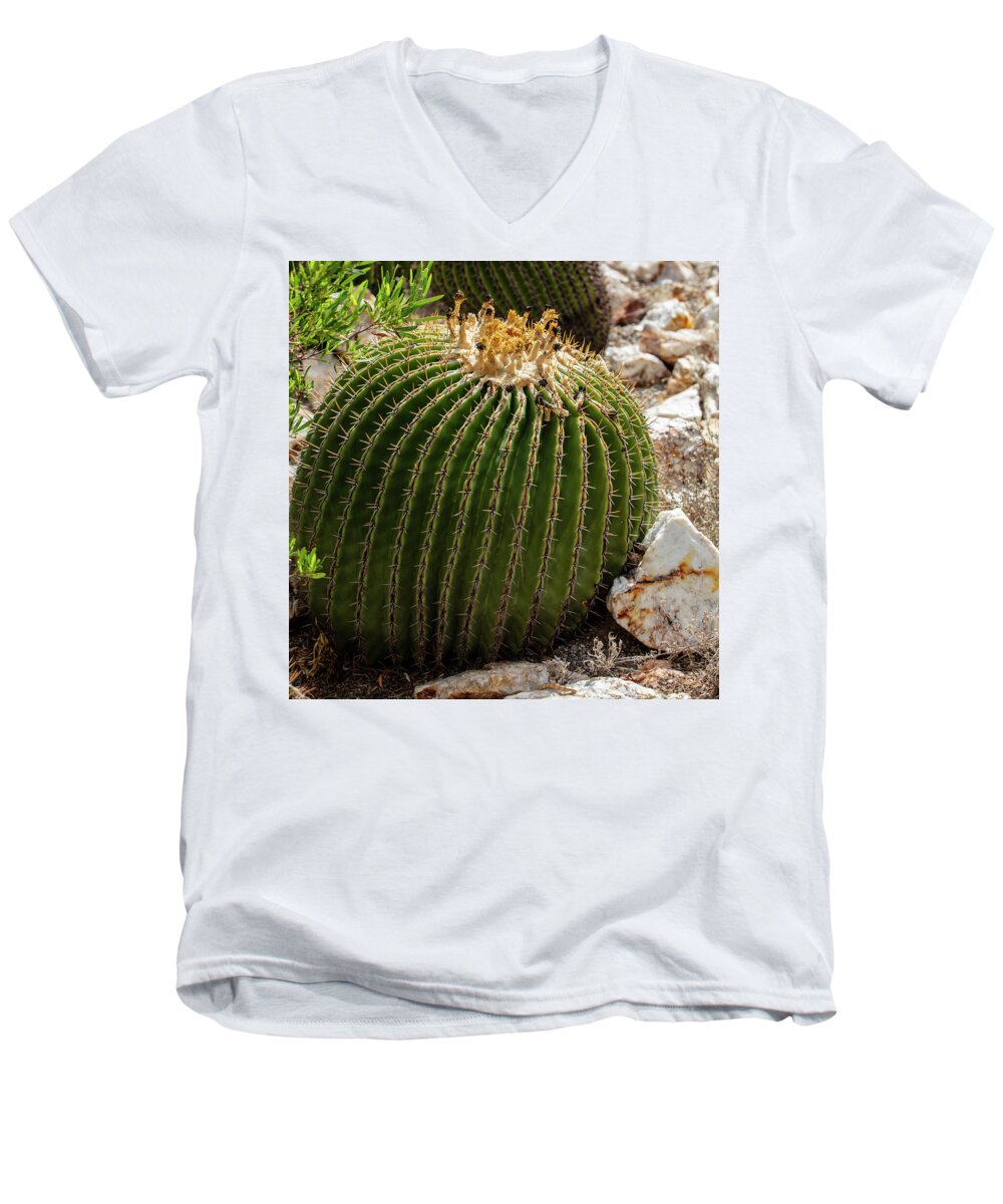 Cacti Closeup - Men's V-Neck T-Shirt