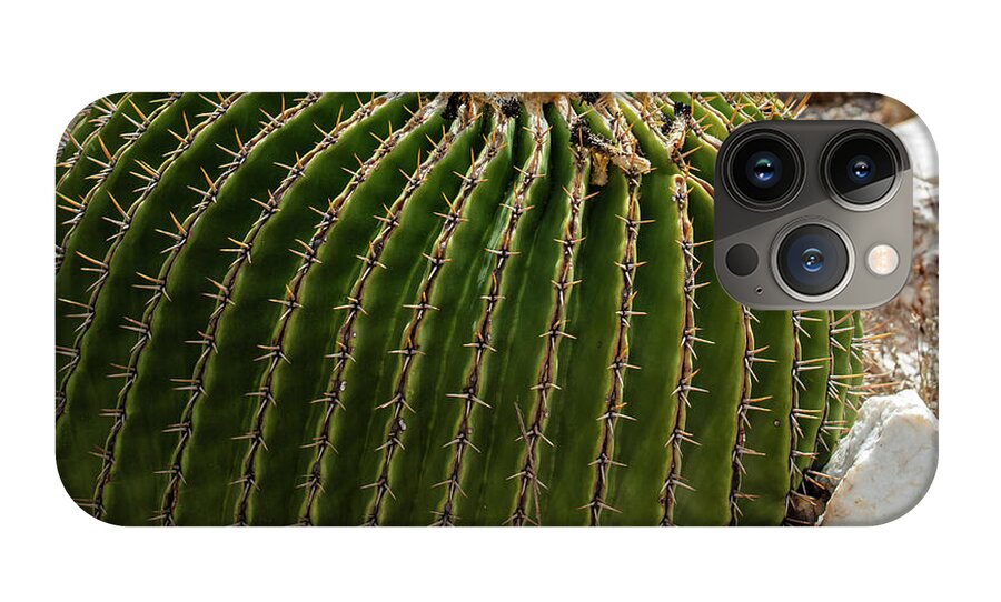 Cacti Closeup - Phone Case