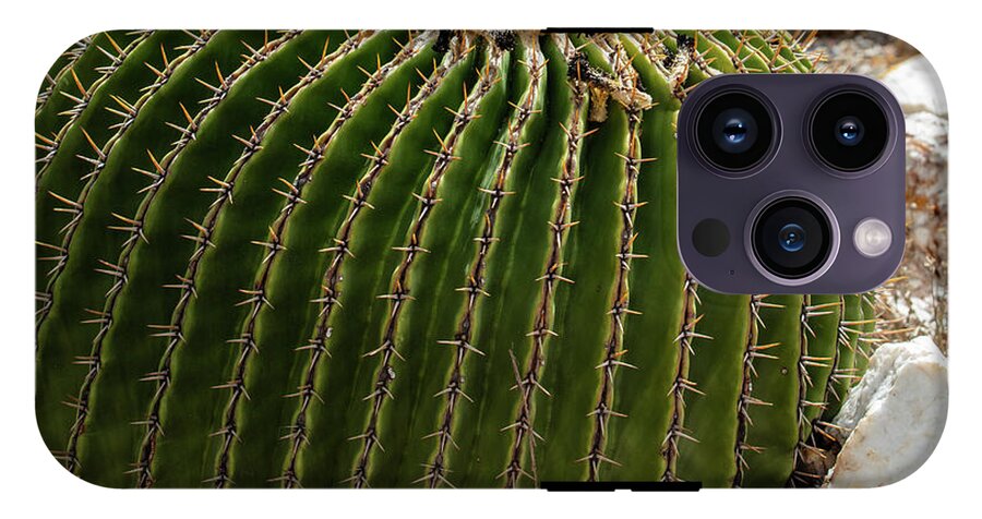 Cacti Closeup - Phone Case
