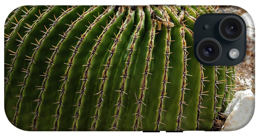Cacti Closeup - Phone Case