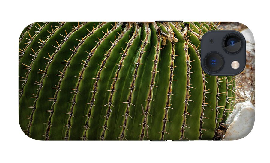 Cacti Closeup - Phone Case