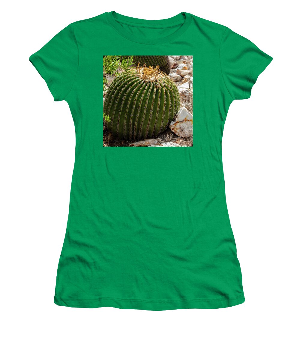 Cacti Closeup - Women's T-Shirt