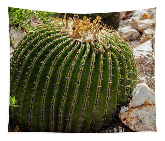 Cacti Closeup - Tapestry