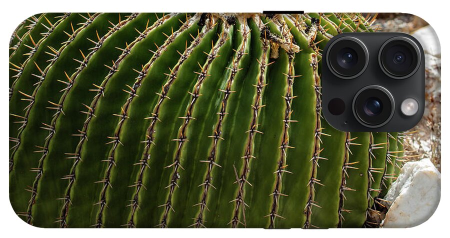 Cacti Closeup - Phone Case