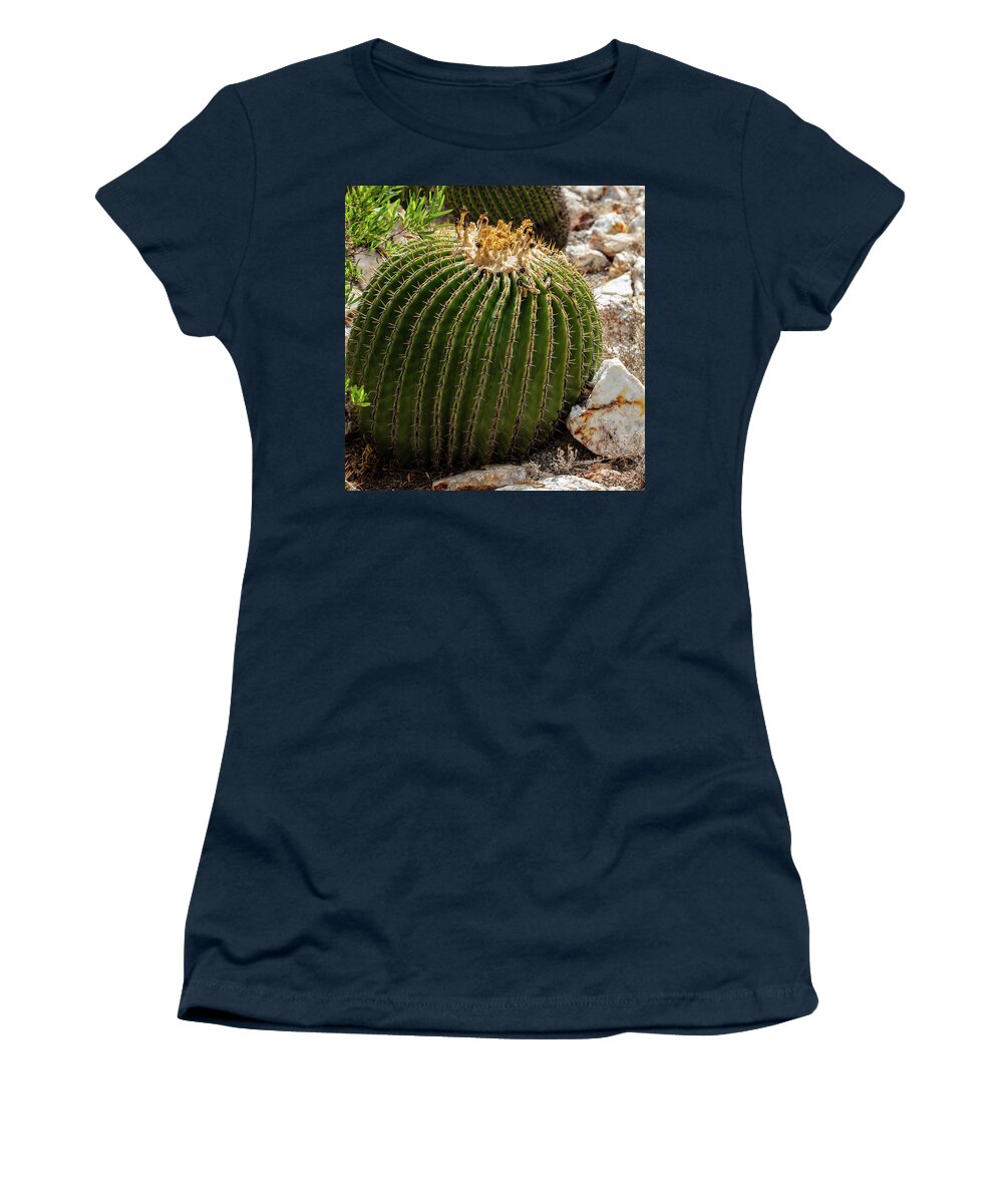 Cacti Closeup - Women's T-Shirt