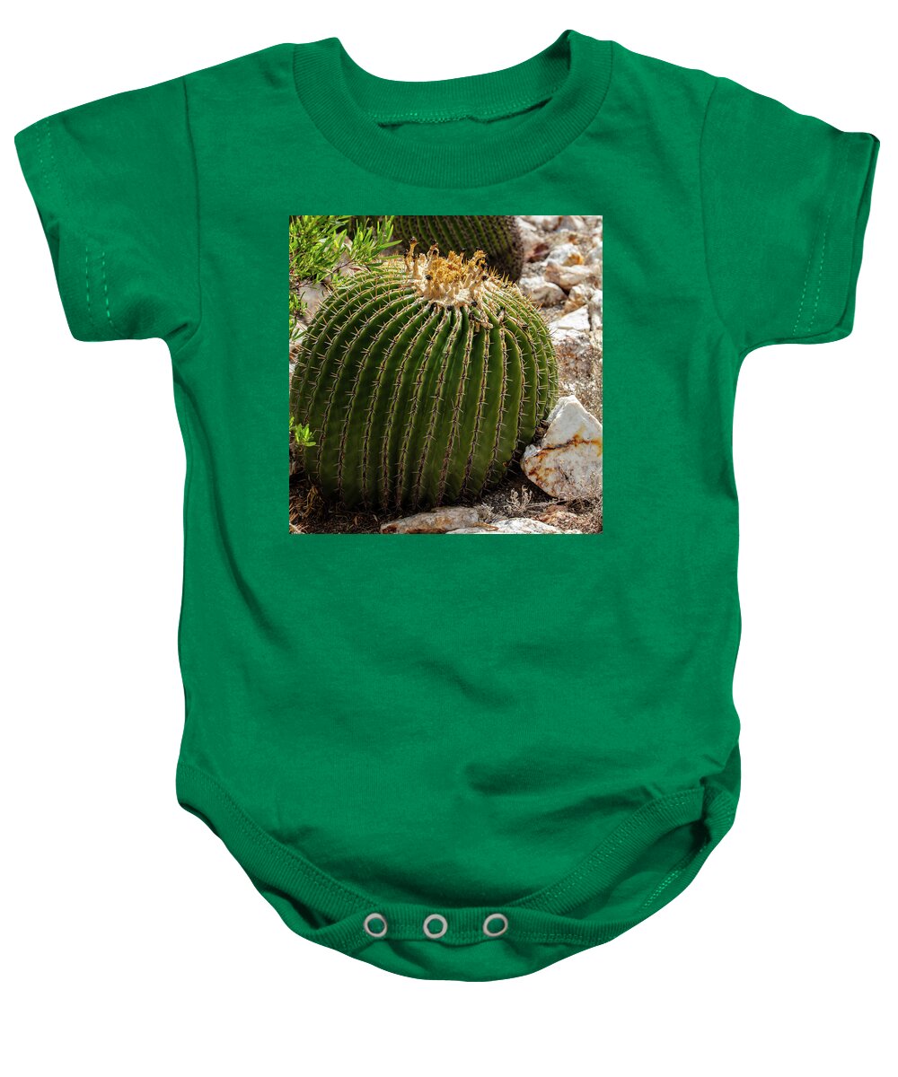 Cacti Closeup - Baby Onesie