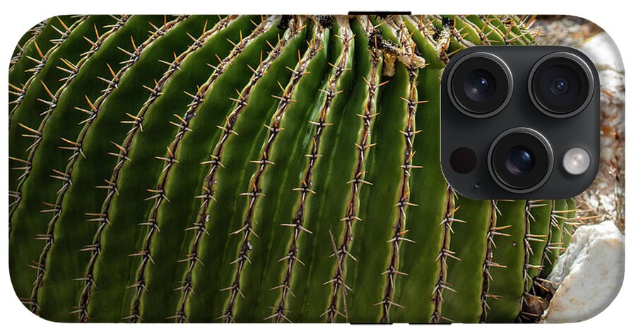 Cacti Closeup - Phone Case