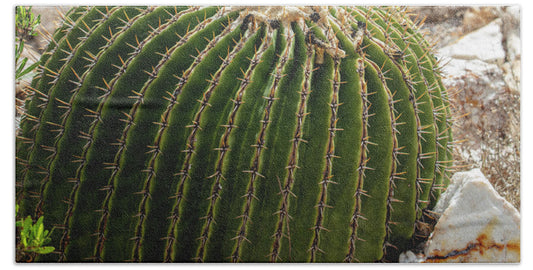 Cacti Closeup - Bath Towel