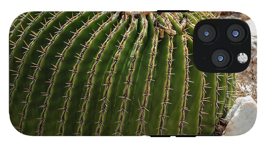 Cacti Closeup - Phone Case