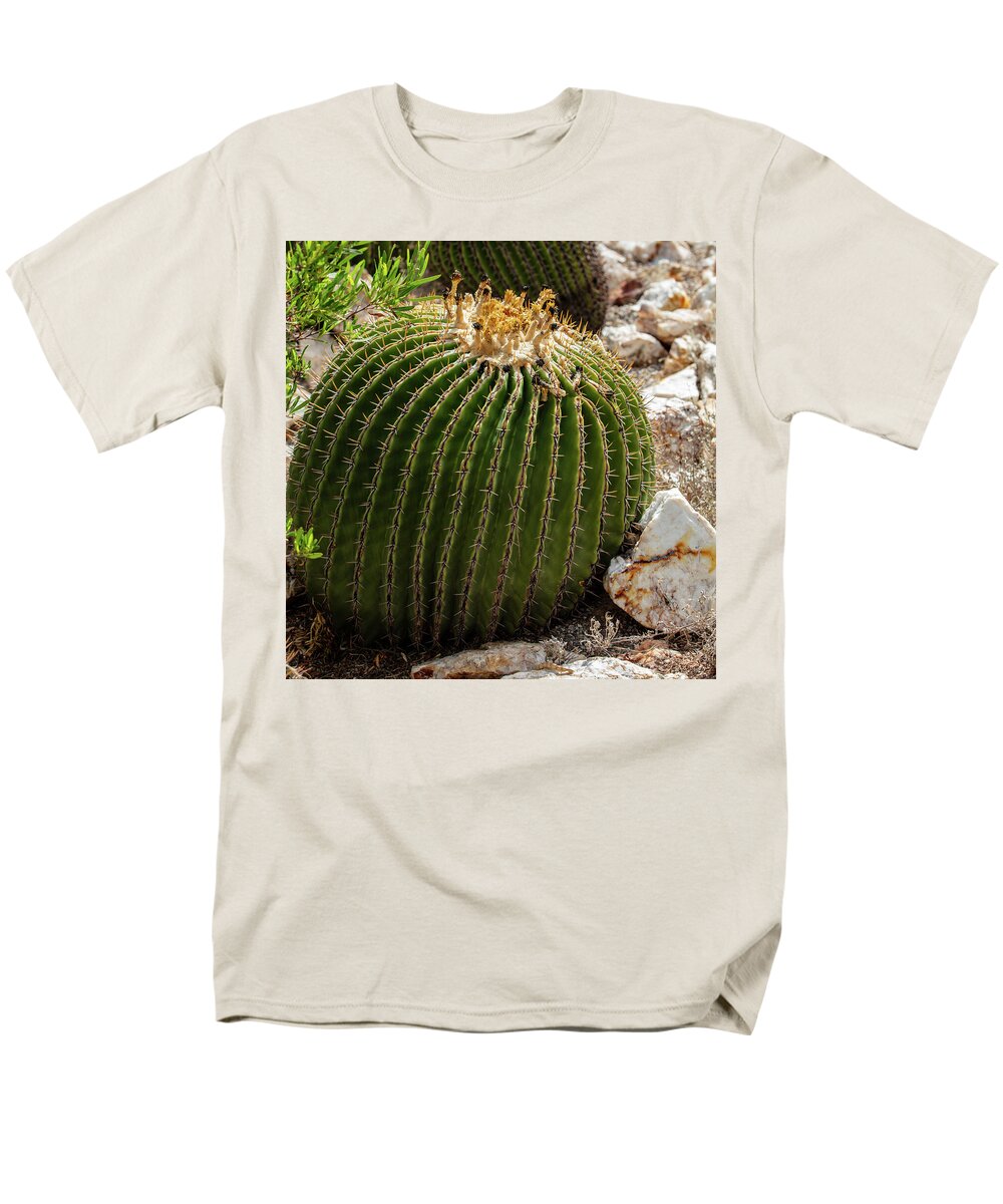 Cacti Closeup - Men's T-Shirt  (Regular Fit)