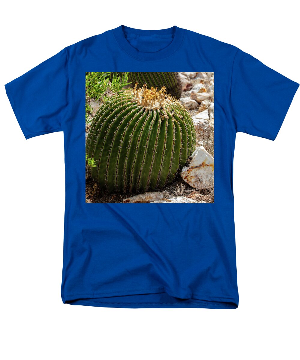 Cacti Closeup - Men's T-Shirt  (Regular Fit)