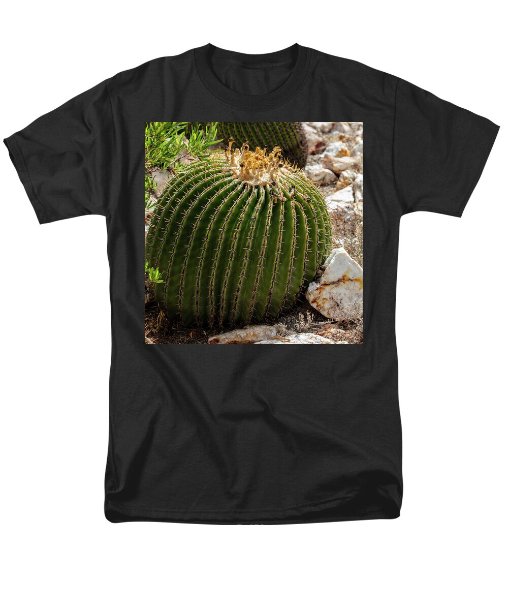 Cacti Closeup - Men's T-Shirt  (Regular Fit)