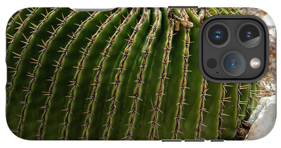 Cacti Closeup - Phone Case