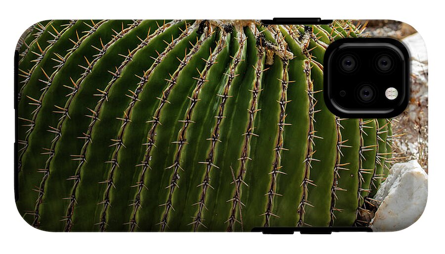 Cacti Closeup - Phone Case