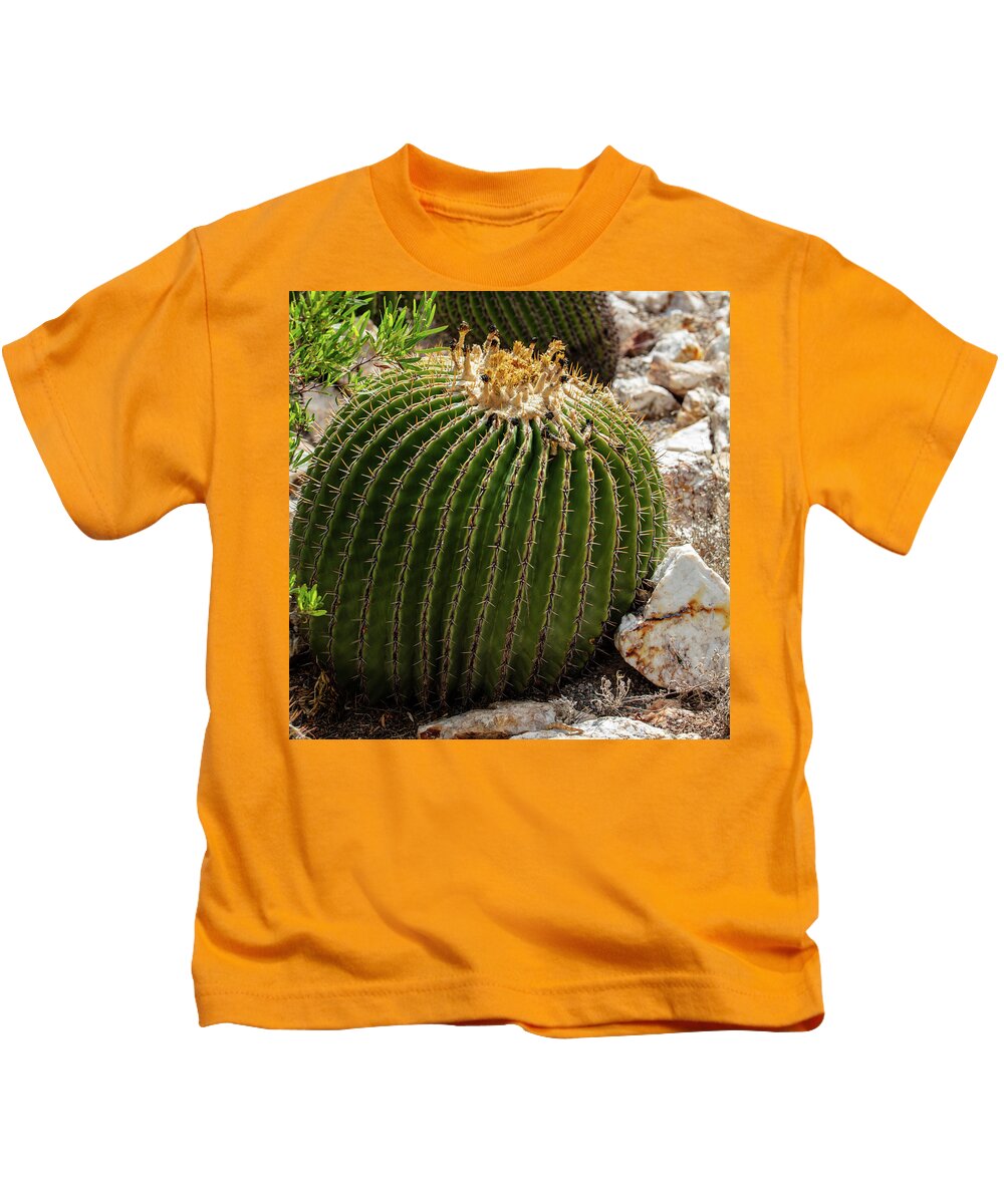 Cacti Closeup - Kids T-Shirt