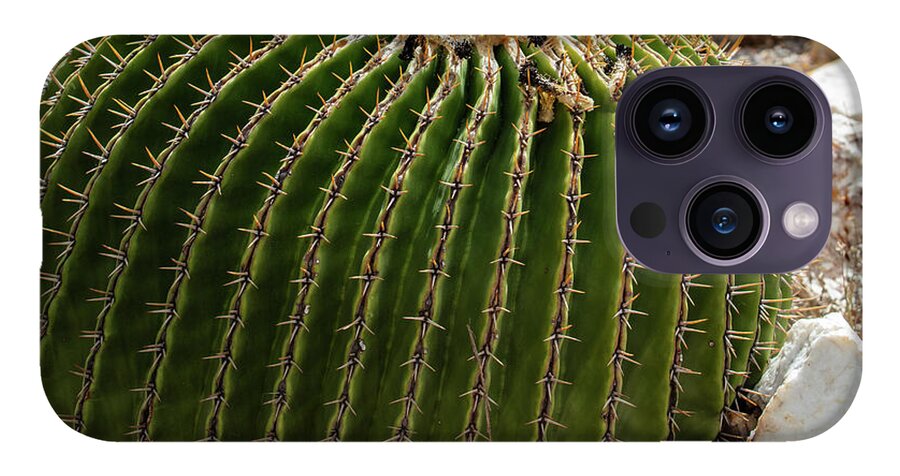 Cacti Closeup - Phone Case