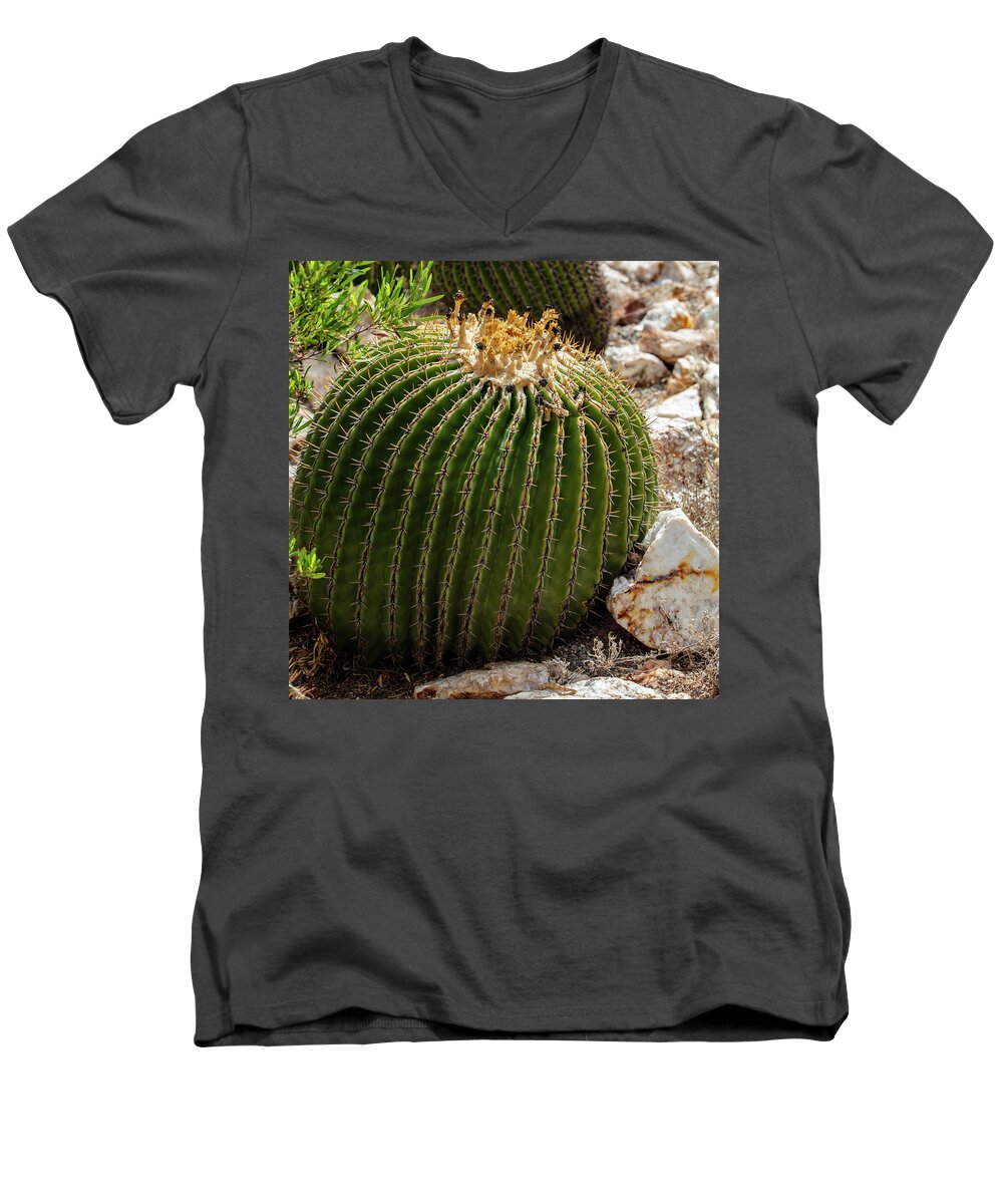 Cacti Closeup - Men's V-Neck T-Shirt