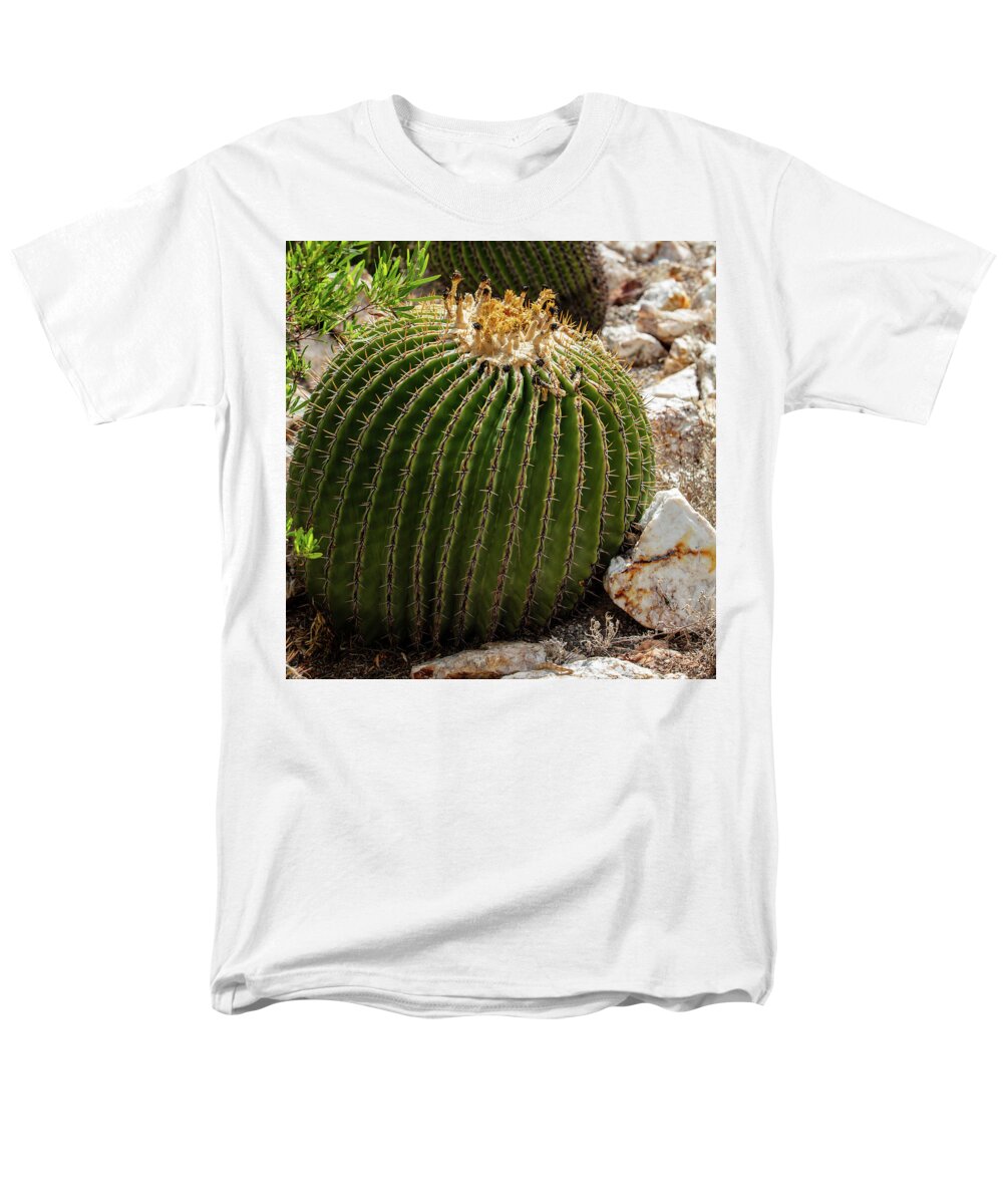Cacti Closeup - Men's T-Shirt  (Regular Fit)