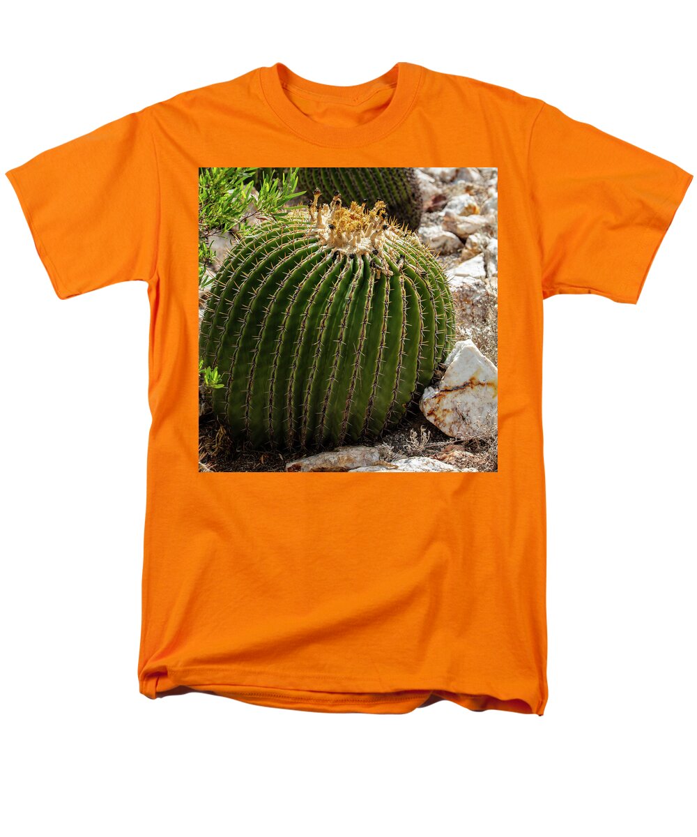 Cacti Closeup - Men's T-Shirt  (Regular Fit)